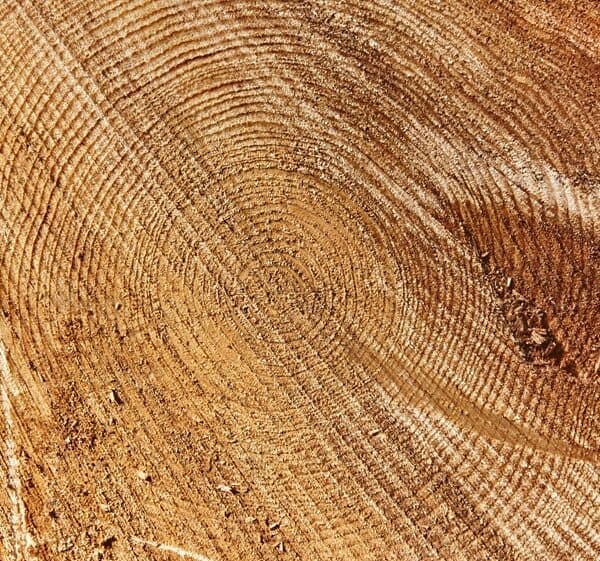 Western Red Cedar mouldings that have been factory-primed for exterior use. Known for its natural durability and resistance to decay