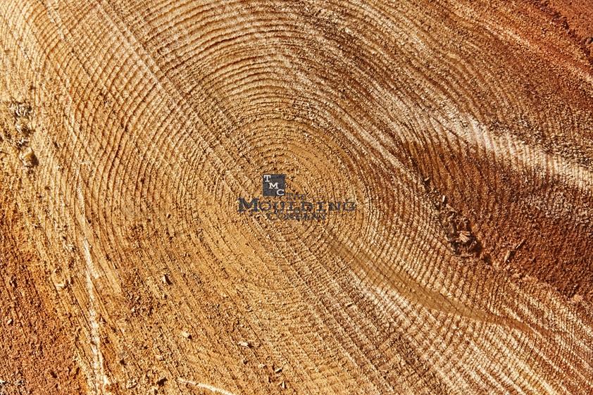 Western Red Cedar mouldings that have been factory-primed for exterior use. Known for its natural durability and resistance to decay Western Red Cedar mouldings that have been factory-primed for exterior use. Known for its natural durability and resistance to decay